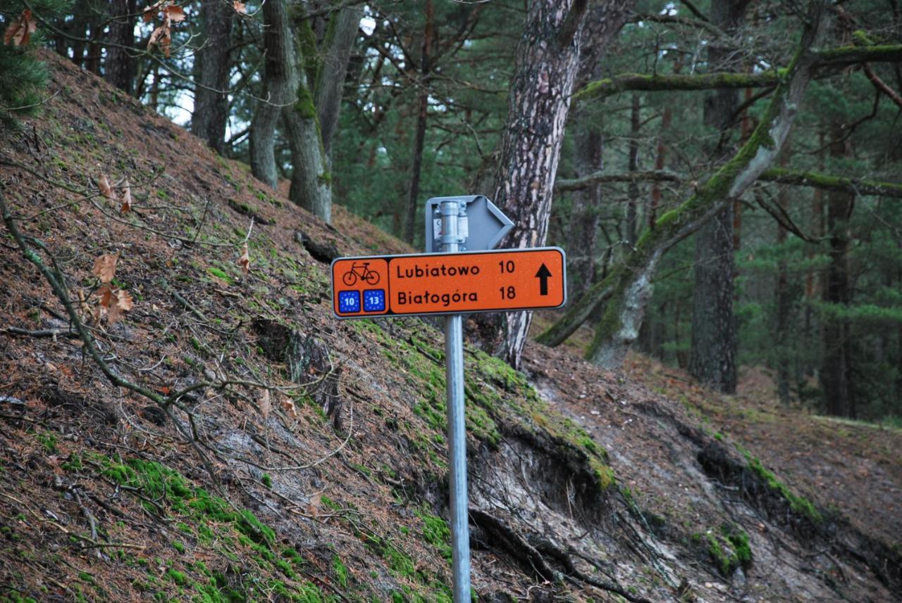 Forest House Sasino-Spa Sauna Balia Eksteriør billede